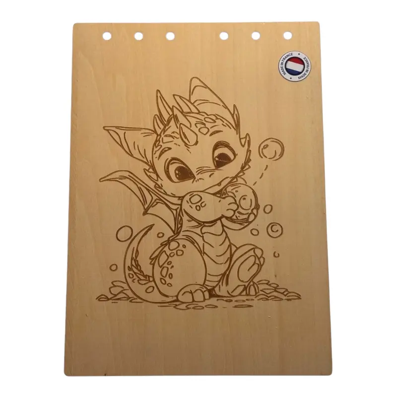 020 - Couverture bloc note dragon avec une bulle dans les mains