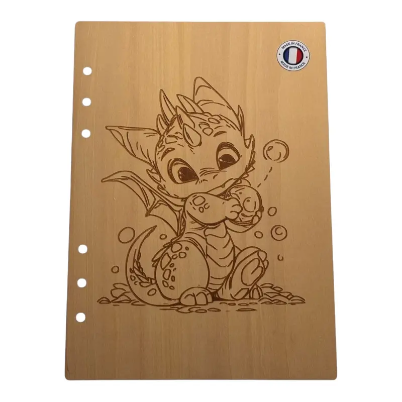 020 - Couverture cahier dragon avec une bulle dans les mains