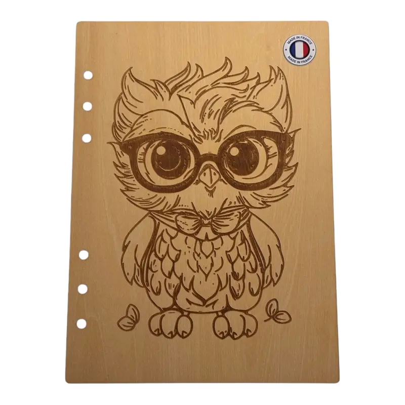 028 - Couverture cahier hiboux avec lunette