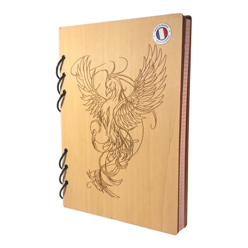 041 - Cahier phénix
