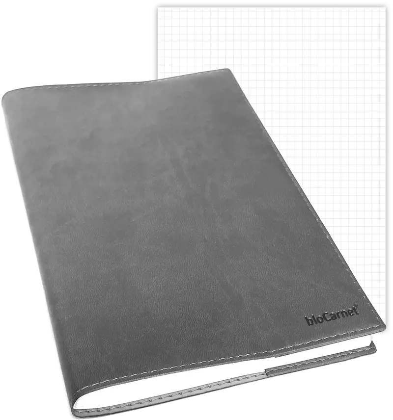 bloCarnet® GRIS pages quadrillées