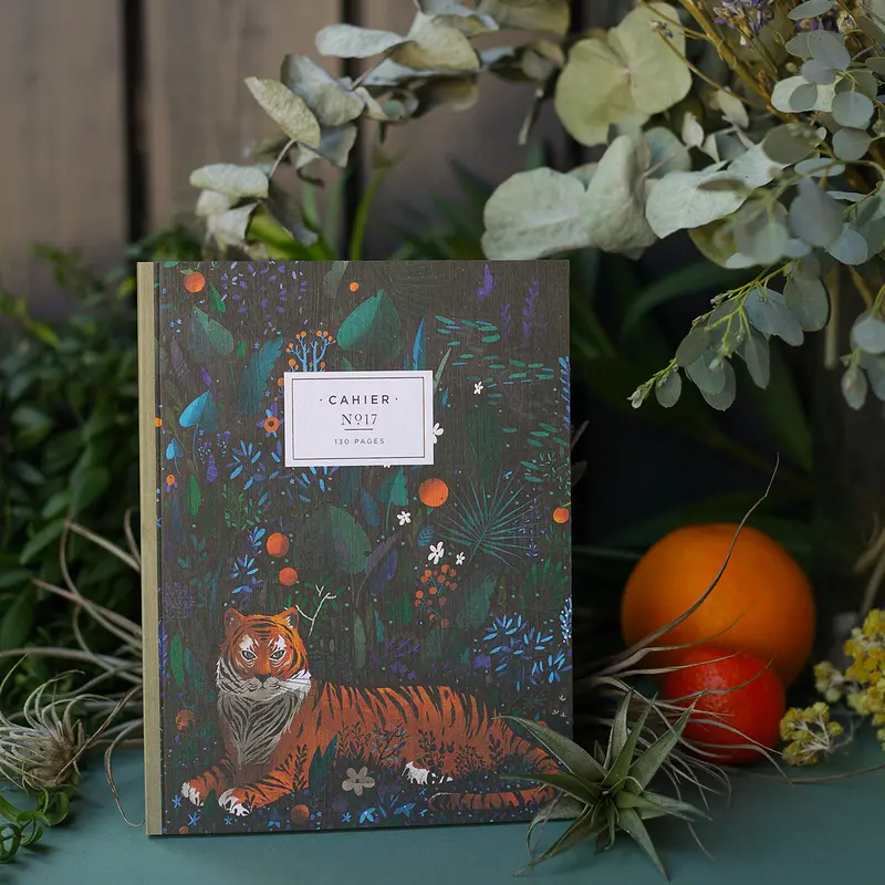 Cahier N°17