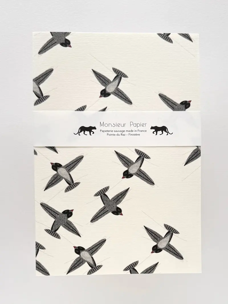 Carnet moyen | Monsieur Papier Hirondelles