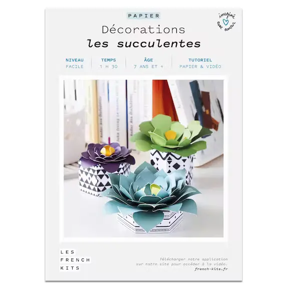 Kit pour créer 3 succulentes en papier