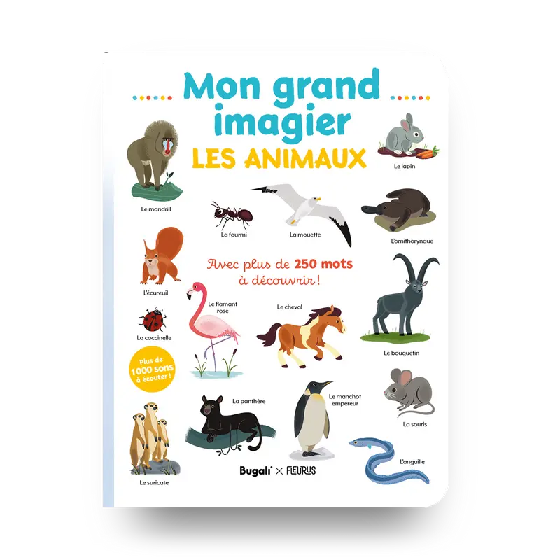 Mon grand imagier • les animaux