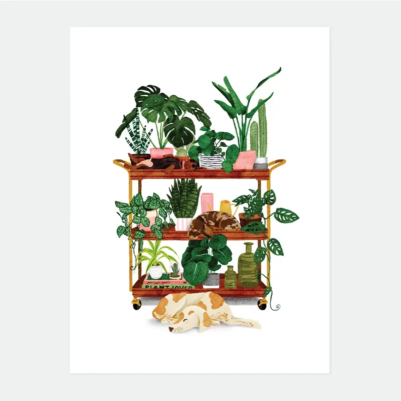 Plant shelf - Poster