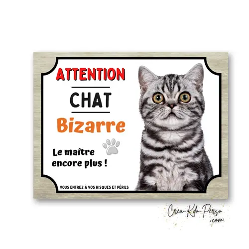 Plaque Attention Chat British Shorthair Bizarre | Déco Humour
