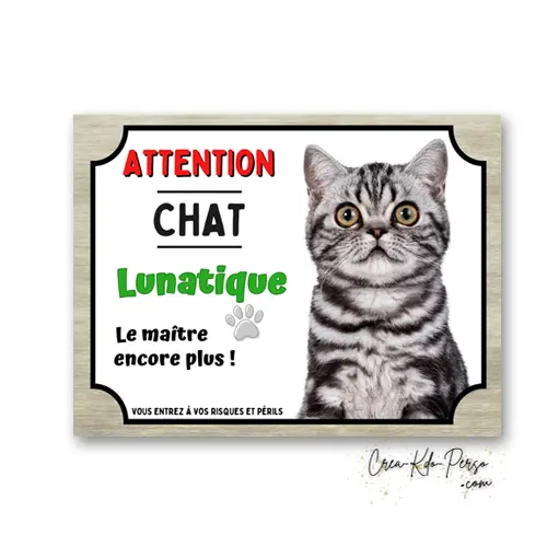 Plaque Attention Chat British Shorthair Lunatique | Déco Humour