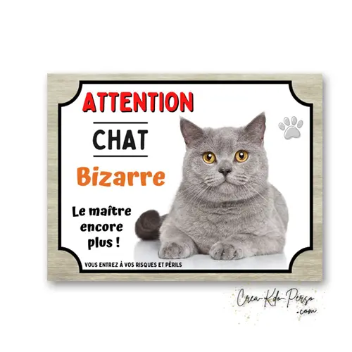 Plaque Attention Chat Gris Bizarre | Déco Humour Chartreux