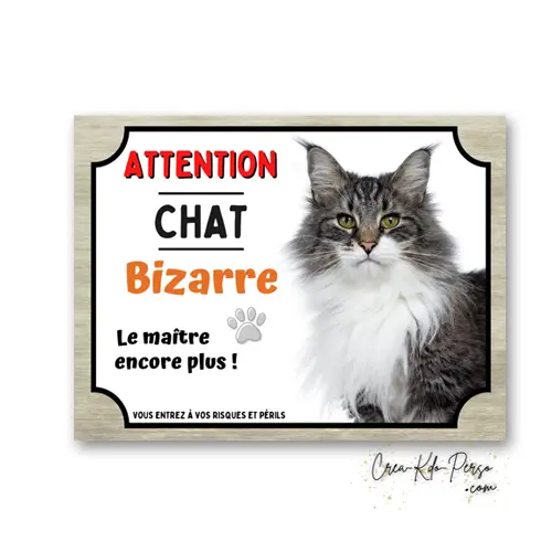 Plaque Attention Chat Maine Coon Bizarre | Déco Humour Aluminium