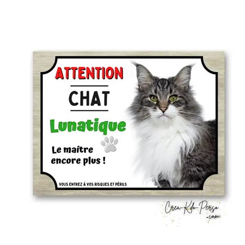 Plaque Attention Chat Maine Coon Lunatique | Déco Humour Aluminium