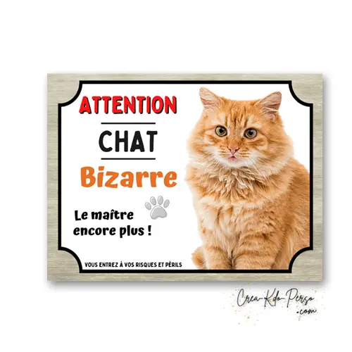 Plaque Attention Chat Roux Poils Longs Bizarre | Déco Humour Aluminium