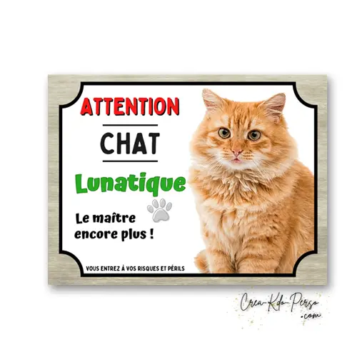 Plaque Attention Chat Roux Poils Longs Lunatique | Déco Humour Aluminium