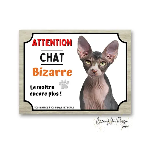 Plaque Attention Chat Sphynx Bizarre | Déco Humour Aluminium