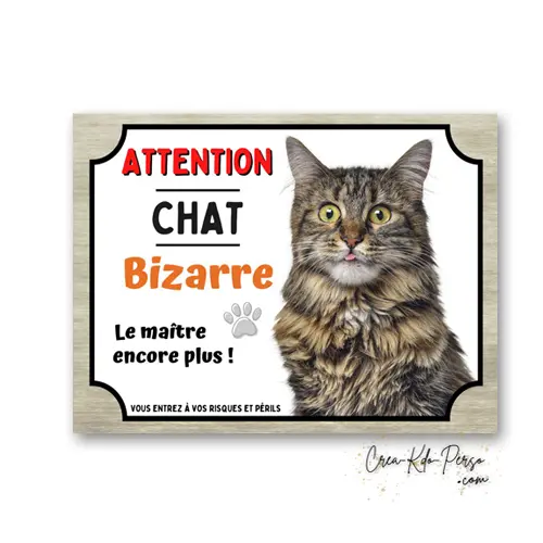Plaque Attention Chat Tigré Bizarre | Déco Humour Aluminium