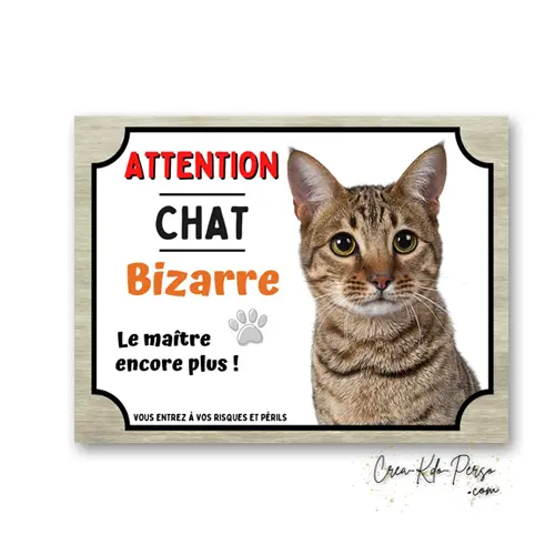 Plaque Attention Chat Tigré Européen Bizarre | Déco Humour Aluminium