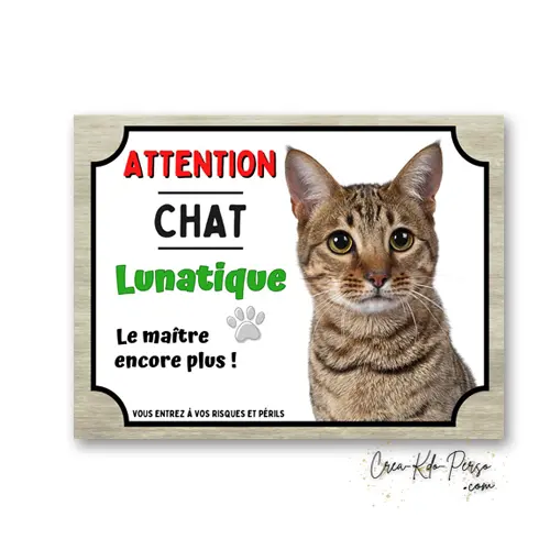 Plaque Attention Chat Tigré Européen Lunatique | Déco Humour Aluminium