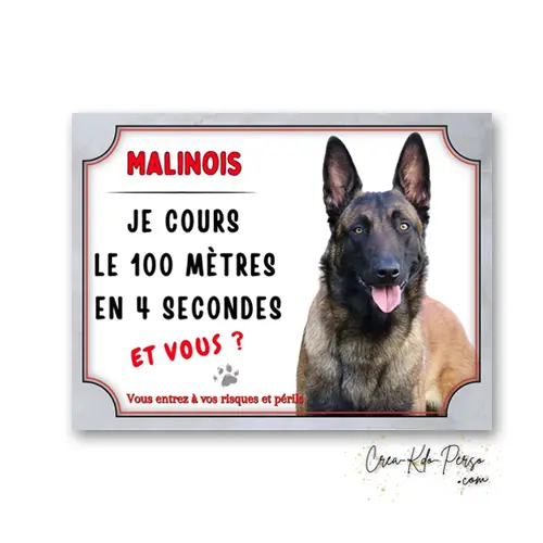 Plaque Attention Chien Malinois - "Je cours le 100 mètres en 4 secondes"