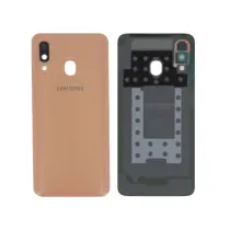 Vitre Arrière Corail Galaxy A40 (A405)