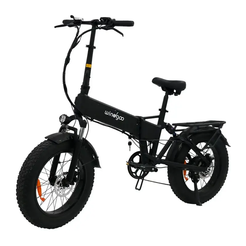 Windgoo F22 Pro Folding Electric Bike - Motor 250W Battery 48V 12.5Ah 20x4.0 Inch Fat Tire LCD - Black